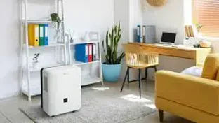 Dehumidifiers
